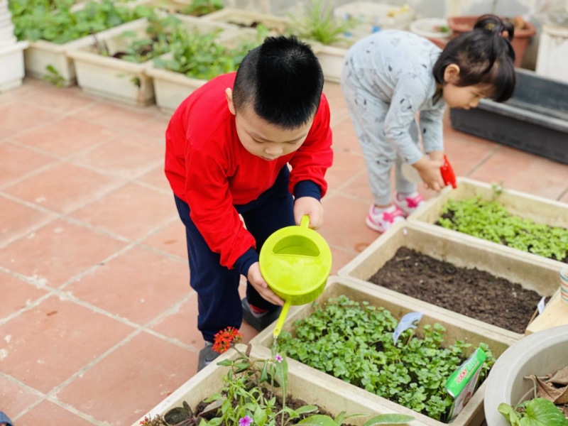 Trường mầm non quốc tế tại Hà Nội LPX kết hợp chương trình Reggio Emilia