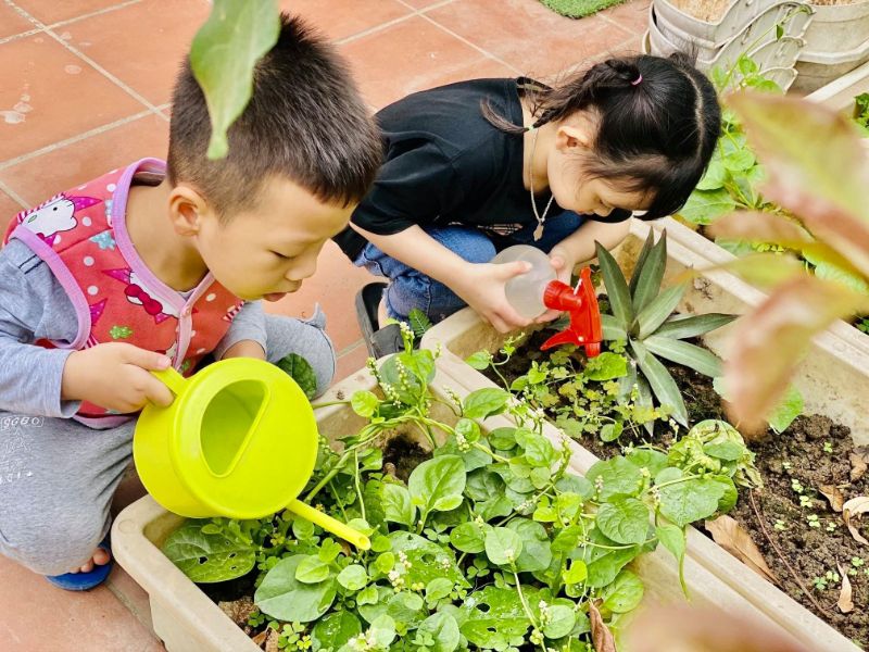 Các bé tham gia tưới cây trong lớp học ngoại khoá