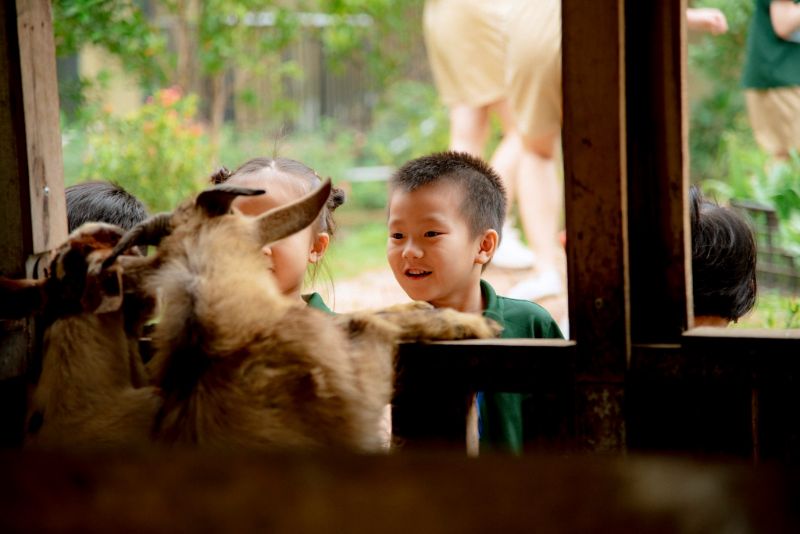 truong mam non ha noi de cao vai tro to chuc lop hoc ngoai khoa