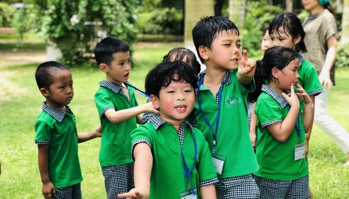 Chương trình Multiple Intelligenes