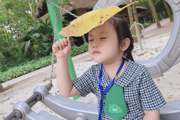 Chương trình Multiple Intelligenes